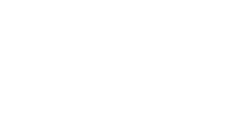 Primatlar